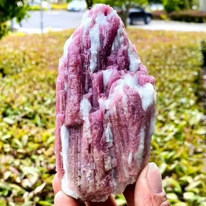 Cristal de quartz tourmaline rouge naturel, spécimen minéral, guérison Reiki