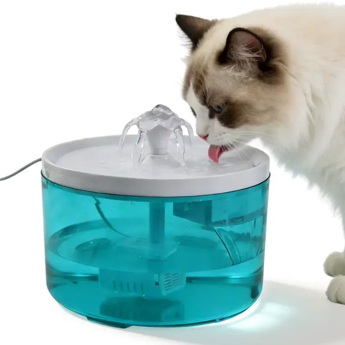La fontaine à eau pour chat est un nouveau type de fontaine à eau pour animaux de compagnie avec cir
