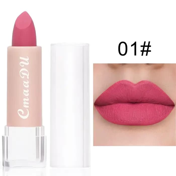 Femme Sexy 15 couleurs velours mat rouge à lèvres teinte pour les lèvres longue durée imperméable an