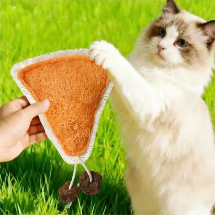 Soins dentaires Loofah naturel chat jouets à mâcher enrichissement dentition confort interactif chaton jouets sain Loofa dentaire chat jouets