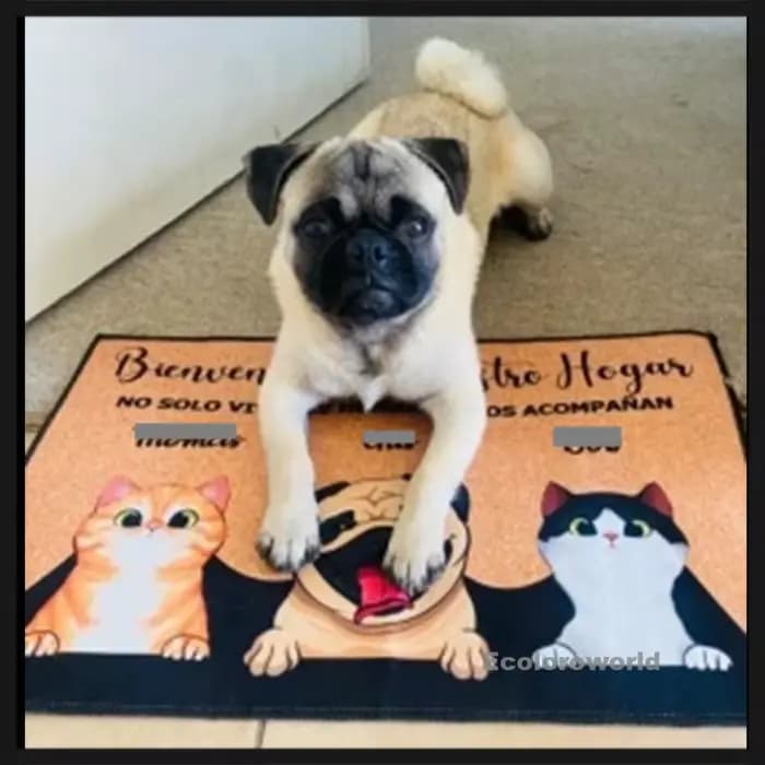 Paillasson personnalisé avec nom de chien et de chat, bienvenue à notre maison, tapis de sol personnalisé, toutes couleurs, tous les logos, accessoire de décoration pour la maison