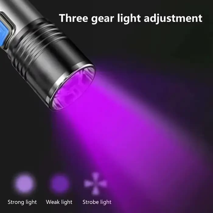 Lampe de poche UV Rechargeable USB pour la détection d'urine animale de compagnie, résine durcie, lampe de poche UV 395nm, Zoom à lumière noire