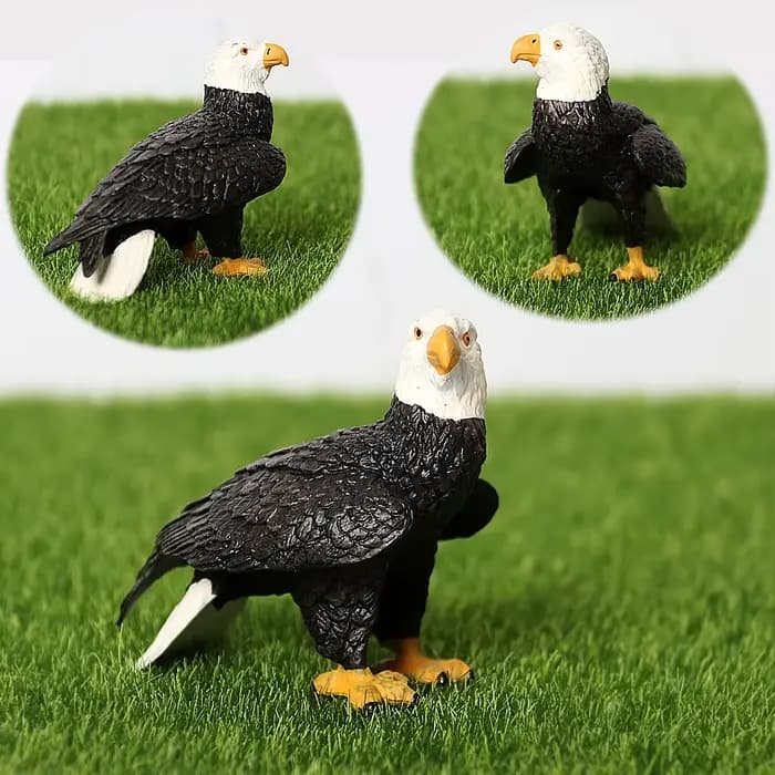 Figurines réalistes d'animaux nord-américains : dindon, aigle chauve, ours grizzly, bison, élan, raton laveur, jouet éducatif pour enfants
