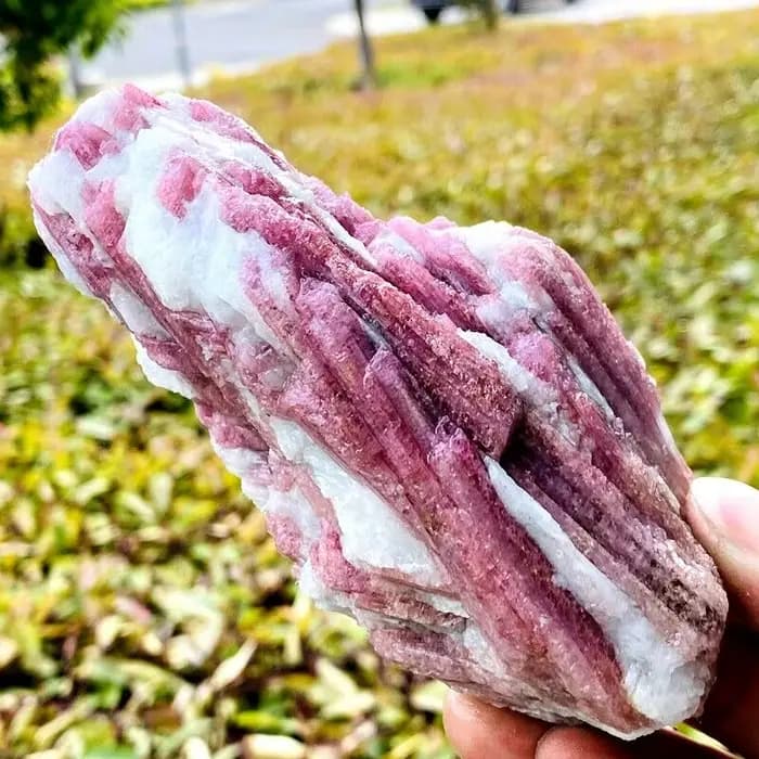 Cristal de quartz tourmaline rouge naturel, spécimen minéral, guérison Reiki