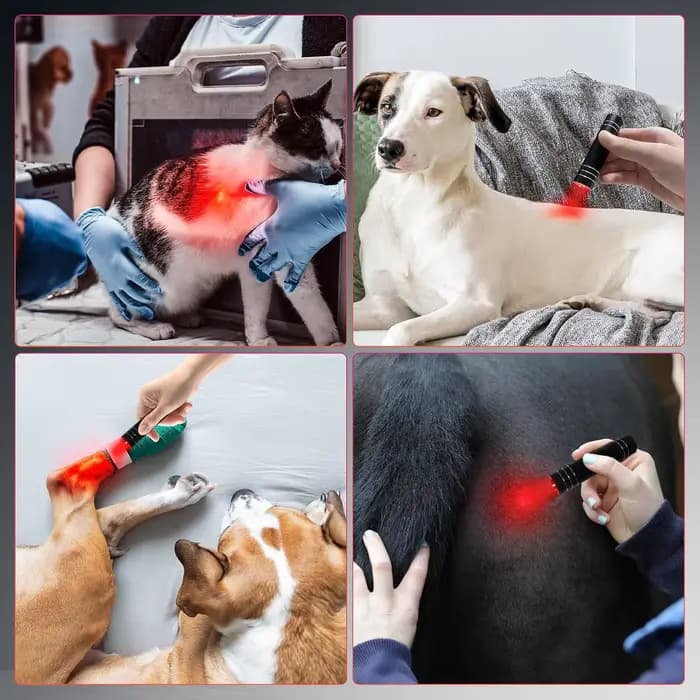 Lampe de thérapie à la lumière rouge 660nm lumière rouge et lampe infrarouge 850nm torche de thérapie avec minuterie Portable LED petite torche soulagement de la douleur corporelle