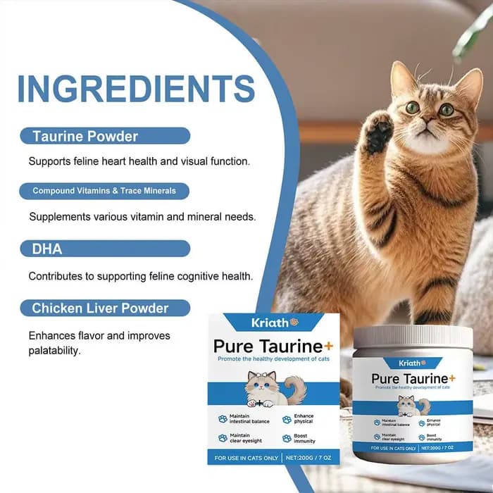 Poudre de taurine pour chat, soutient la santé cardiaque, favorise une croissance saine, maintient la fonction visuelle, lisse le pelage, soin des chatons, poudre nutritionnelle
