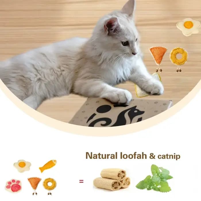 Soins dentaires Loofah naturel chat jouets à mâcher enrichissement dentition confort interactif chaton jouets sain Loofa dentaire chat jouets