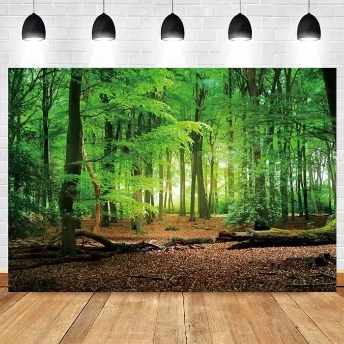 Toile de fond Forêt Printanière, Jungle Tropicale, Forêt tropicale pour la photographie, le camping, l'aventure, les anniversaires, et les studios photo