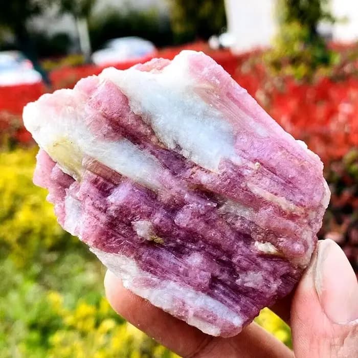 Cristal de quartz tourmaline rouge naturel, spécimen minéral, guérison Reiki