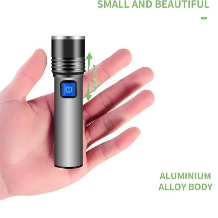 Lampe de poche UV Rechargeable par USB 365nm, torche Portable en aluminium à lumière ultraviolette, détecteur d'urine pour animaux de compagnie, lampes de poche noires