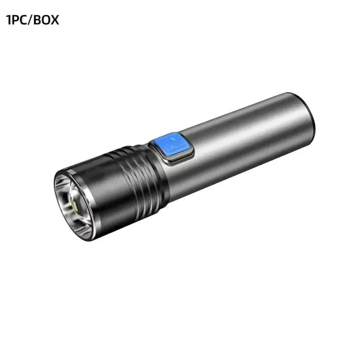 Lampe de poche UV Rechargeable USB pour la détection d'urine animale de compagnie, résine durcie, la