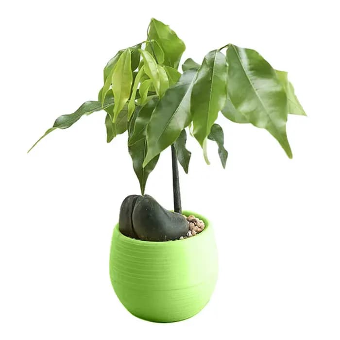 Mini pot de fleurs rond en plastique écologique, jardinière décorative pour jardin, maison et bureau