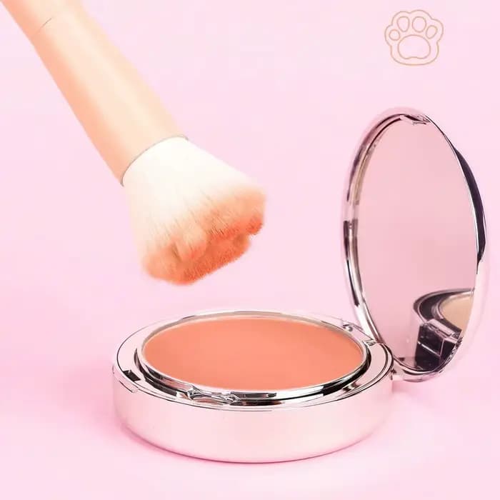 Nouveau pinceau à Blush patte de chat avec boîte de rangement, outil de maquillage professionnel ada