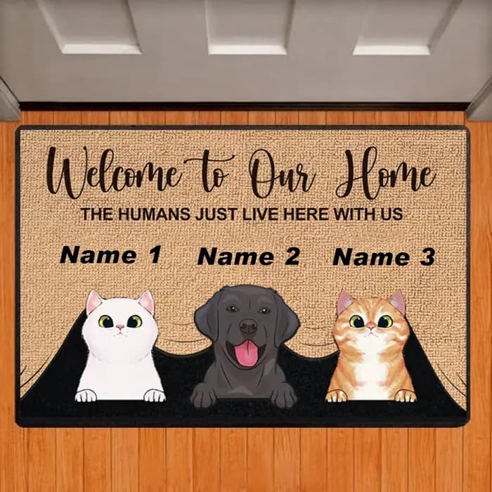 Paillasson personnalisé avec nom de chien et de chat, bienvenue à notre maison, tapis de sol personn