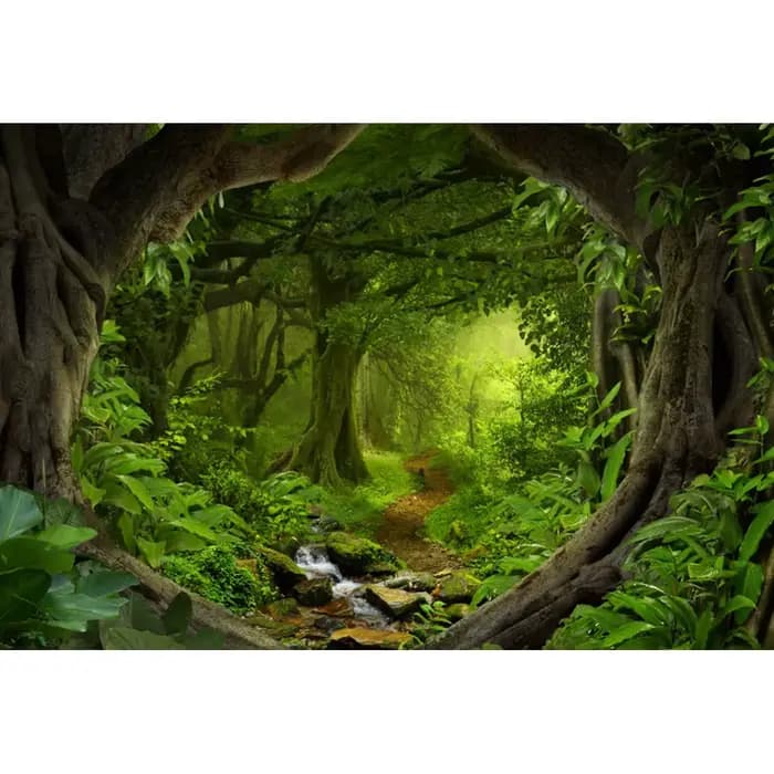 Arrière-plan de forêt de printemps, Jungle tropicale, forêt tropicale, pour photographie, Camping, a