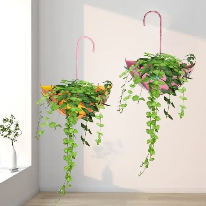 Pot de fleurs décoratif en fer en forme de parapluie, panier à fleurs mural peu encombrant, support mural pour plantes succulentes, décoration intérieure