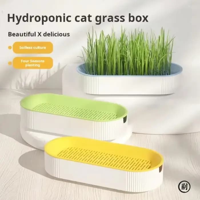 Boîte d'herbe hydroponique pour chat, friandises pour chat, herbe-aux-chats, plantation hydroponique sans sol, ensemble de pots d'herbe pour chat pour une croissance facile