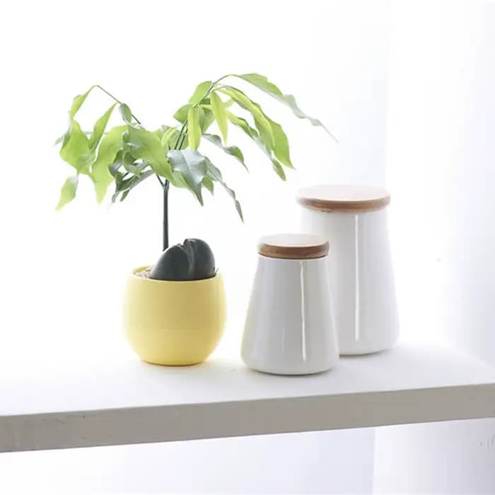 Mini pot de fleurs rond en plastique écologique, jardinière décorative pour jardin, maison et bureau