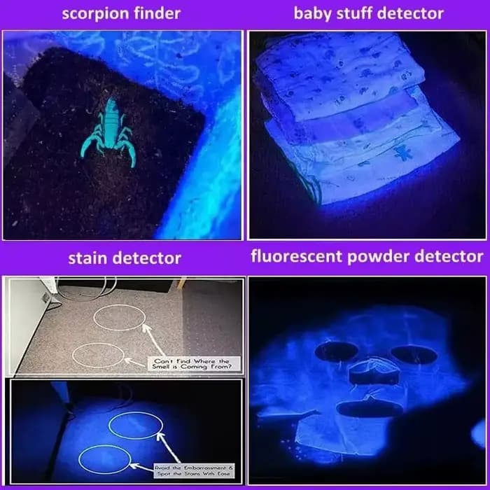 Lampe de poche UV Rechargeable USB pour la détection d'urine animale de compagnie, résine durcie, lampe de poche UV 395nm, Zoom à lumière noire