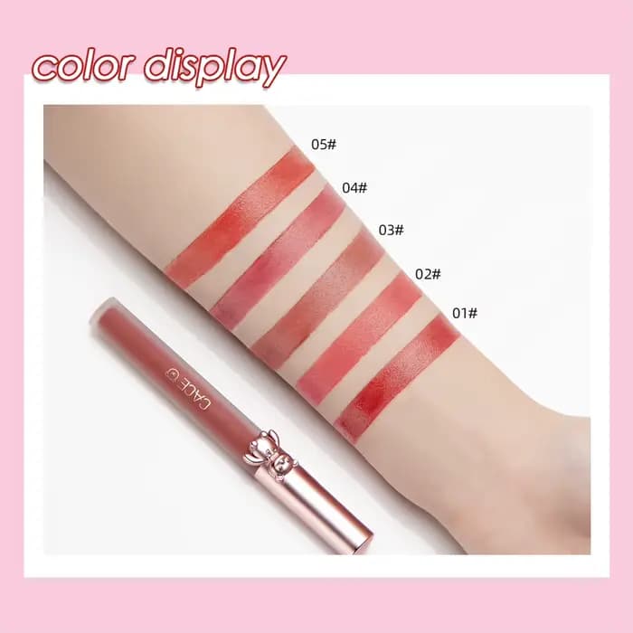 CACE brillant à lèvres maquillage liquide rouge
