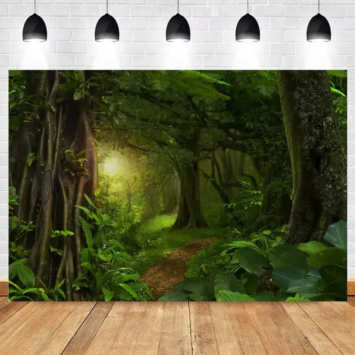Arrière-plan de forêt de printemps, Jungle tropicale, forêt tropicale, pour photographie, Camping, aventure, anniversaire, Studio Photo
