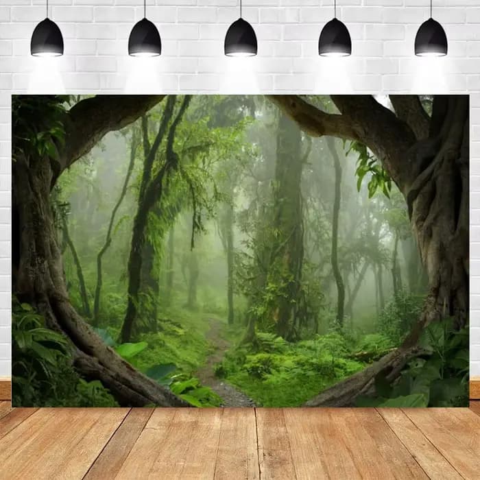Arrière-plan de forêt de printemps, Jungle tropicale, forêt tropicale, pour photographie, Camping, aventure, anniversaire, Studio Photo