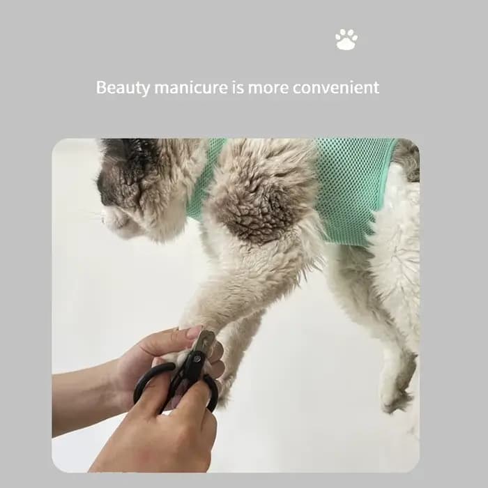 Sac fixe anti-rayures pour toilettage des ongles, sac fixe pour bain, sac de retenue, hamac de beauté pour animaux de compagnie, fournitures suspendues pour animaux de compagnie