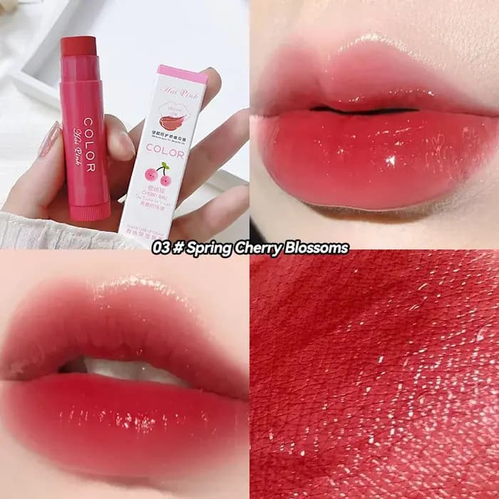 HAIPINK Ensemble de 3 baumes à lèvres hydratants teintés – Hydratant